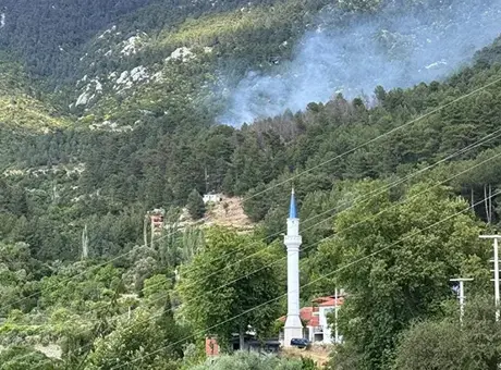 Antalya Kaş'ta orman yangını! Havadan karadan müdahale